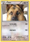chien