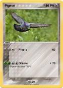 Pigeon