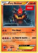 Fury Bowser