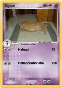 Big cat