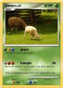 sheepo