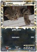 chaton