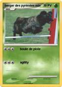 berger des pyré