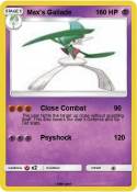 Max's Gallade