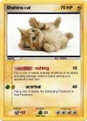 Shahina cat