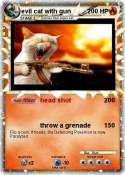 evil cat with