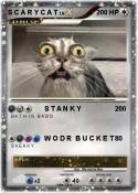 S C A R Y C A