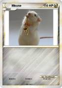 Mouse