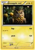 pineapple owl