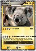 koala