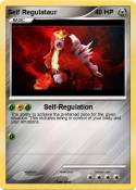 Self Regulataur