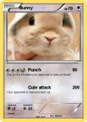Bunny