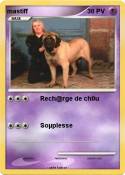 mastiff