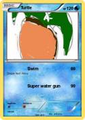 Turtle