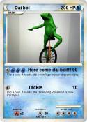 Dai boi