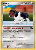 pupy