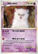OMG kitten