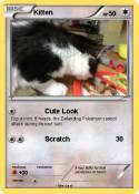 Kitten
