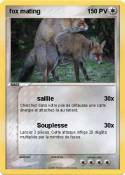 fox mating