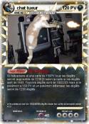 chat tueur