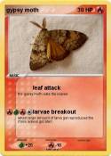 gypsy moth