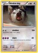 Window dog