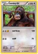 monkey EX