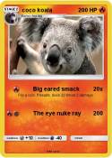coco koala