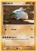 lapin niv ex