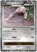 sloth
