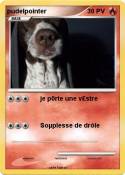 pudelpointer