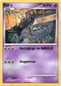 PSP 4
