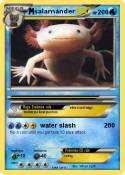 salamander