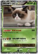 GRUMPY CAT