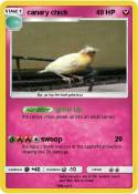 canary chick