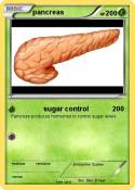 pancreas