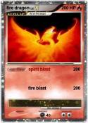 fire dragon