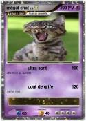 mégat chat