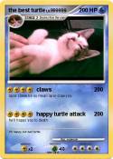 the best turtle