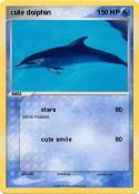cute dolphin