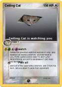Ceiling Cat