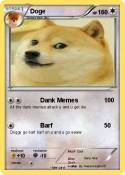 Doge