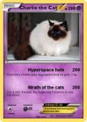 Charlie the Cat