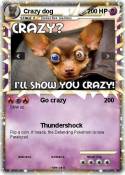 Crazy dog