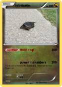Infiniturtle