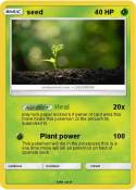 seed