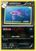 hammerhead