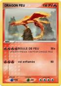 DRAGON FEU