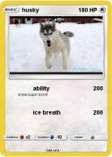 husky