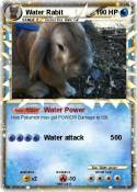 Water Rabit